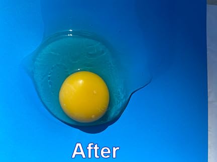 The Egg Tool
