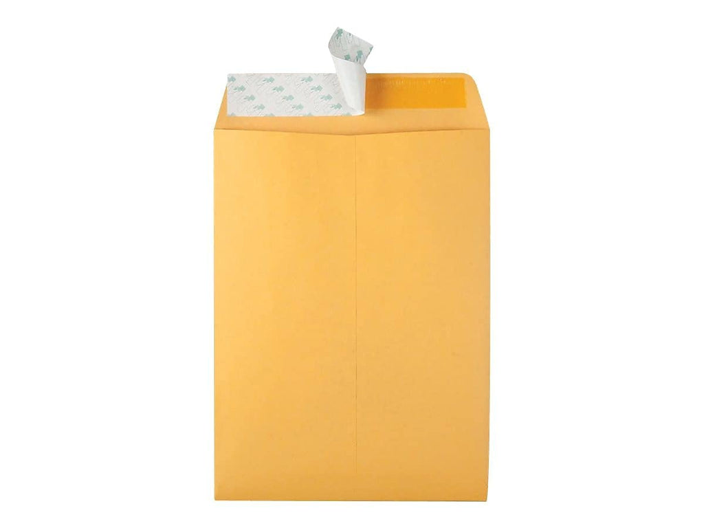 Quality Park Envelopes, Redi-Seal Catalog Envelopes, 9 x 12 Inches, 28 lb Light Brown Kraft, Self-Sealing, 100 Count - Ideal for Mailing, Storage, and Organizing