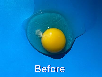 The Egg Tool