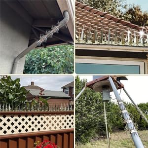 Anti-Climb Spikes for Raccoon & Bird Protection - Heavy-Duty Stainless Steel Barrier Nails for Fence, Roof, Trees | Outdoor Animal Climb Prevention