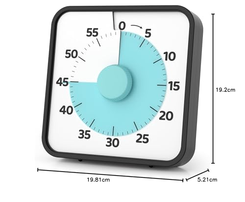 LIORQUE 19cm Visual Timer Large Timer for Classroom, 60 Minute Countdown Timer No Ticking with Magnetic Back, 3 Level Volumes & Vibrating & Light Alarm