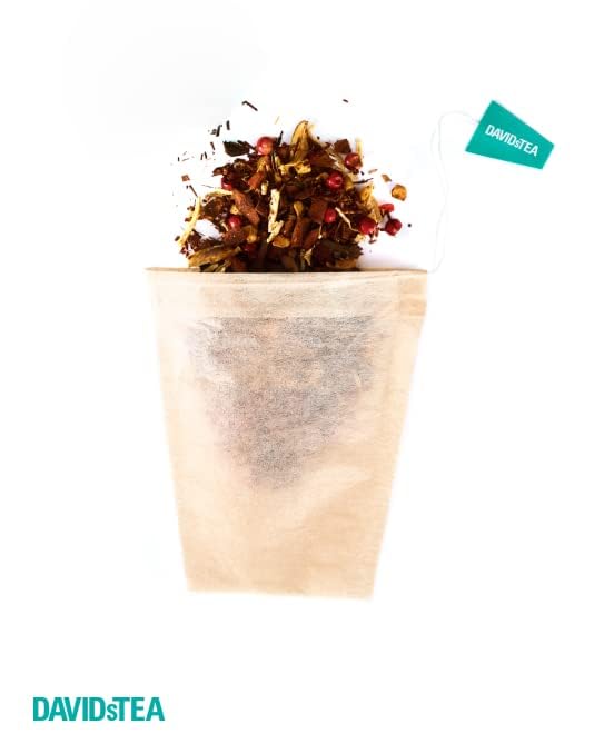 DAVIDsTEA Drawstring Tea Filters for Loose Leaf Tea, Pack of 200 Empty Tea Bags, OXO-Biodegradable Teabags, Ideal for Loose Tea Steeping, Tea Strainer Alternative