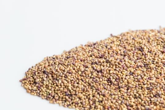 Organic Red Clover (Tréfle Rouge) Sprouting Seeds, Mumm's, Large Size: 250 Grams, Non-GMO - Product of Canada - High Germination Rate - Resealable Bag