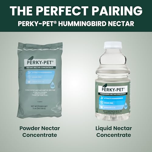 Perky-Pet 203CPBN-2 Pinch Waist Glass Hummingbird Feeder - 2 Hummingbird Feeders