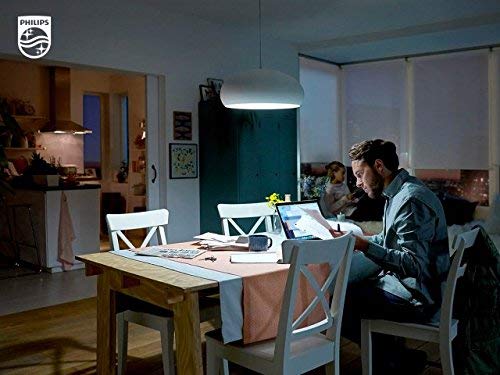 Philips 409607 Fluorescent 32W T9 12-Inch Circline Soft Light White