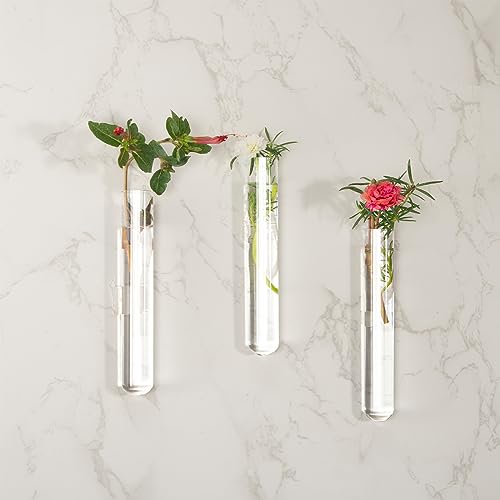 30pcs 20ml Glass Test Tubes 15 x 150mm with Cork Stoppers and Brush for Scientific Experiments and Plant Propagation Test Tubes