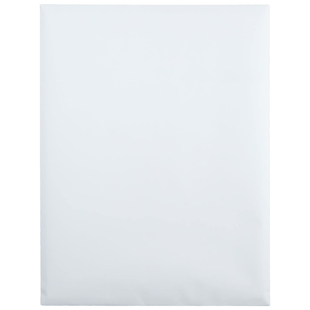 Quality Park Redi-Seal 9 X 12 Inch White Catalog Envelopes 100 Count (43517)