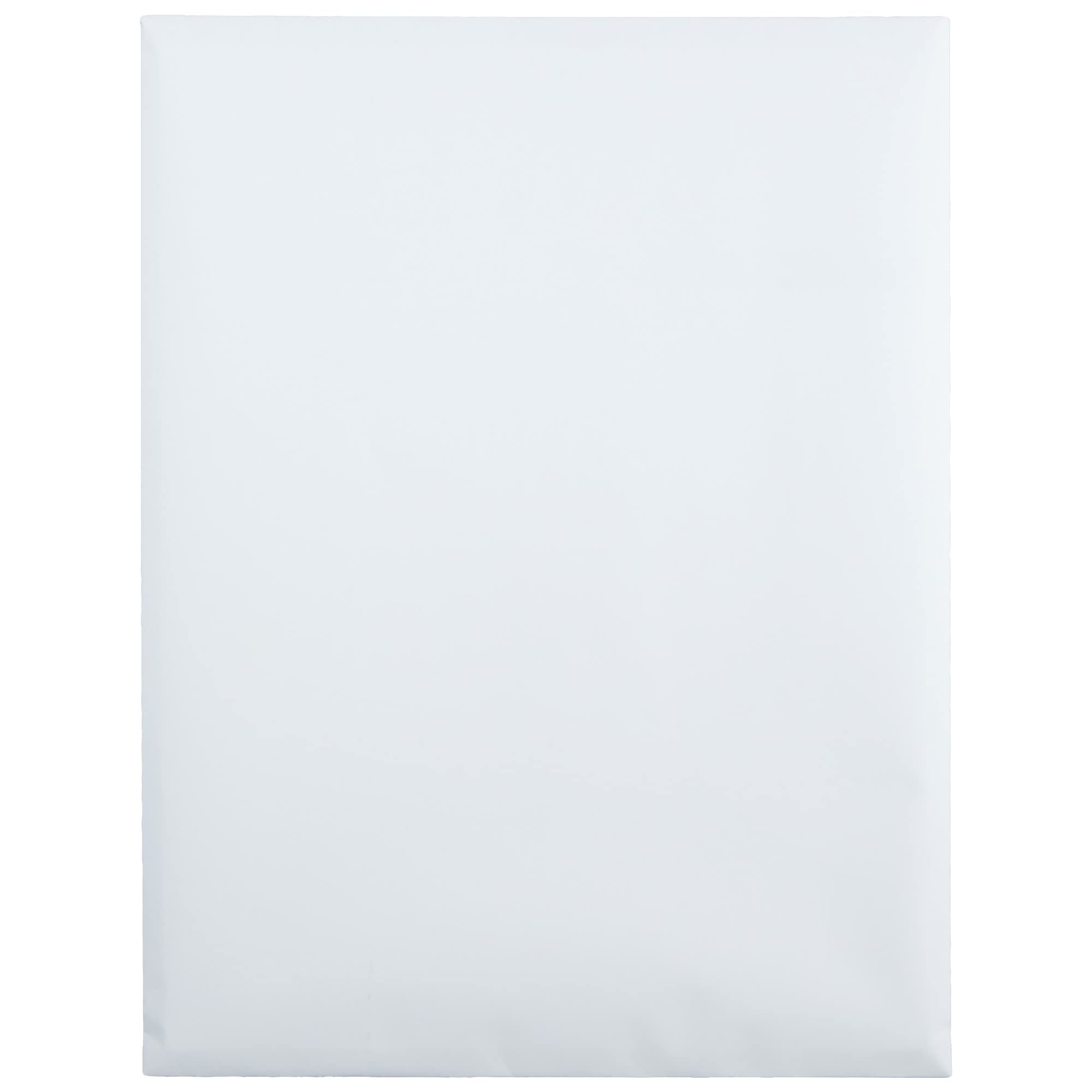 Quality Park Redi-Seal 9 X 12 Inch White Catalog Envelopes 100 Count (43517)