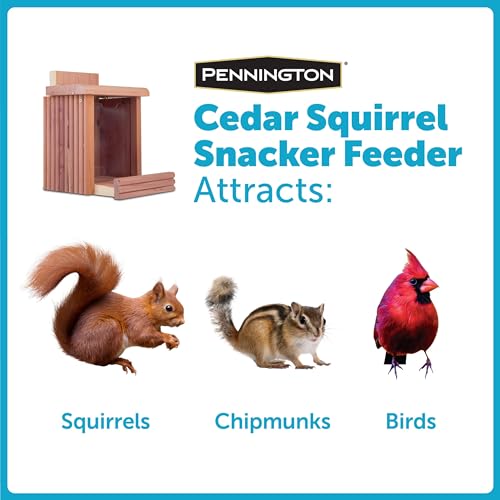 Pennington Cedar Squirrel Snacker Feeder Amish Made in The USA
