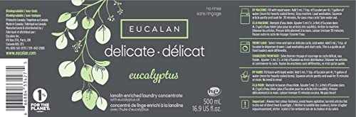 Eucalan ELG Eucalyptus Large