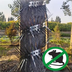 Anti-Climb Spikes for Raccoon & Bird Protection - Heavy-Duty Stainless Steel Barrier Nails for Fence, Roof, Trees | Outdoor Animal Climb Prevention