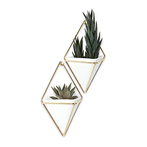 Umbra Trigg Hanging Planter Vase Wall Decor, Set of 2 Pots Containers for Succulents, Cactus, Faux Plants, and More, Small, White/Brass
