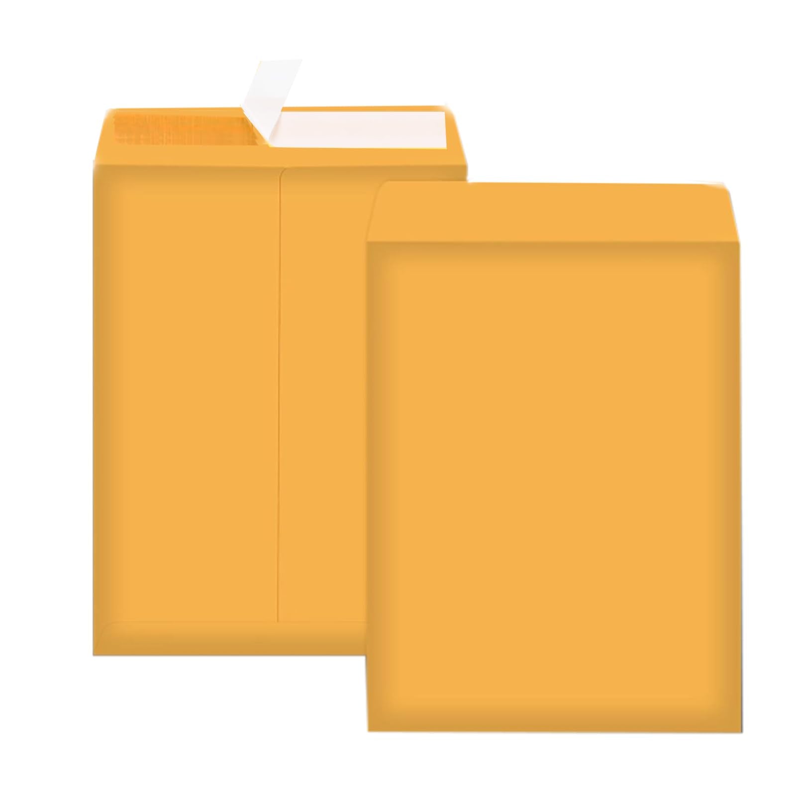 Packpal Manilla Envelopes 9x12 100Pack Brown Catalog Envelopes Self Seal for Mailing