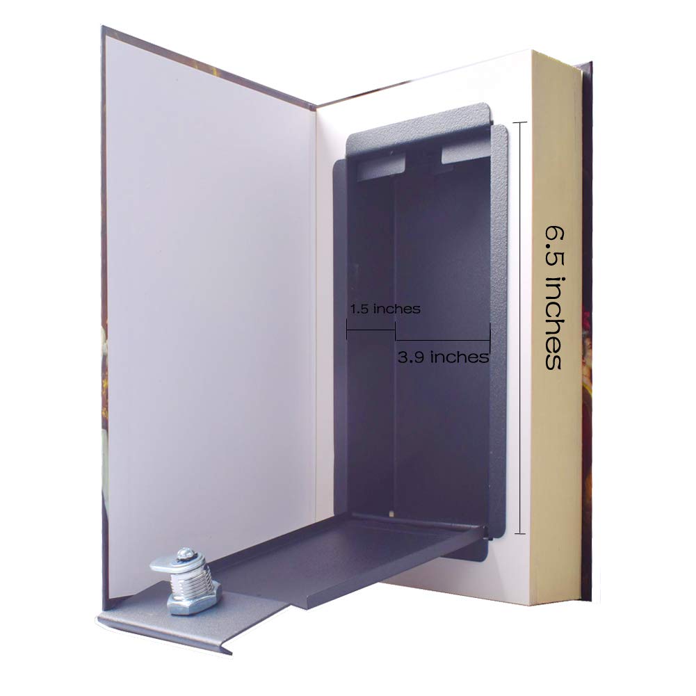 EIOUMAX Real Paper Diversion Book Safe With Key - Anti-Theft Secret Box for Money Hiding and Collection - Alice in Wonder