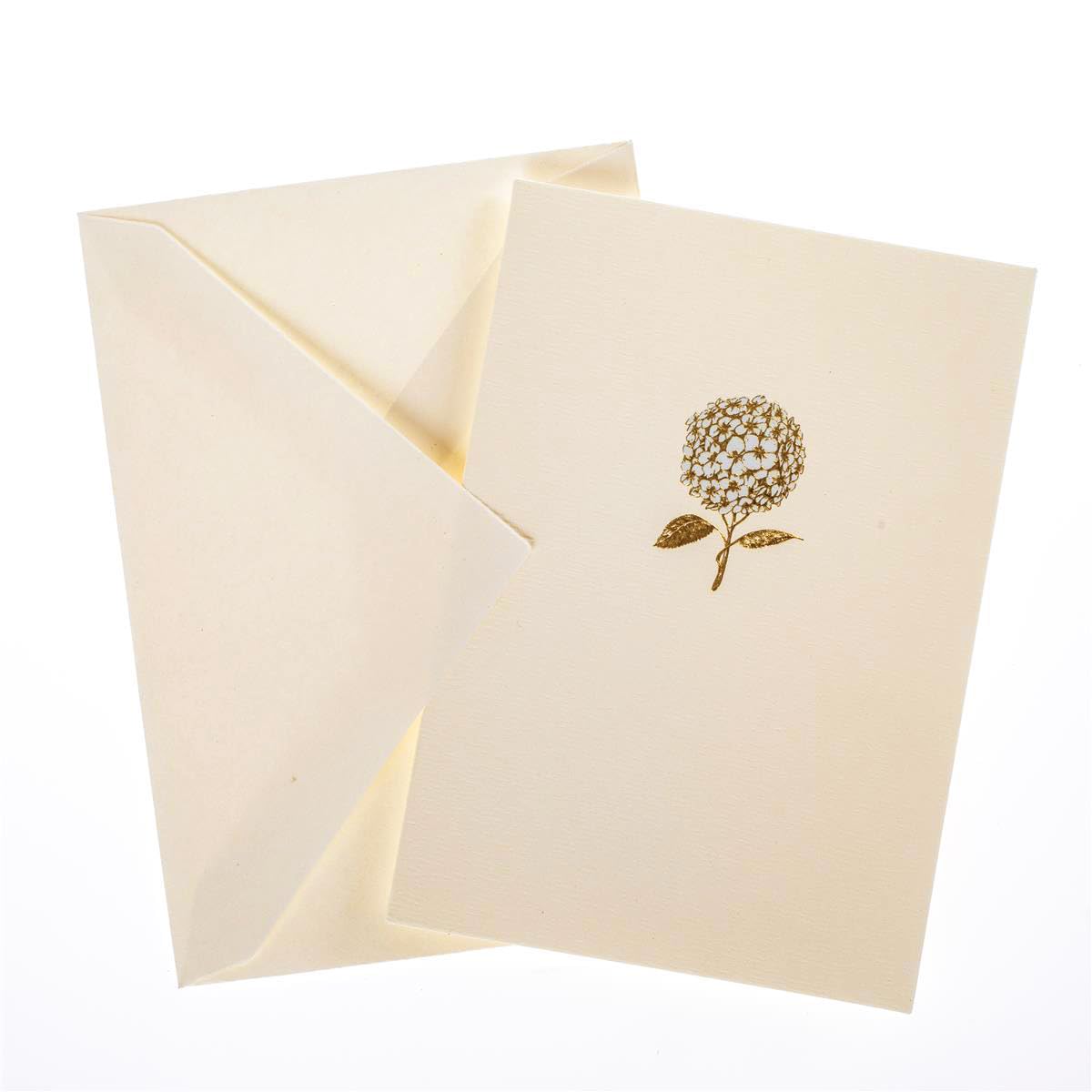 Graphique Hydrangea La Petite Presse Boxed Notecards - 10 Embellished Gold Foil Blank Cards with Matching Envelopes and Storage Box, 3.25" x 4.75" (L1346CB)