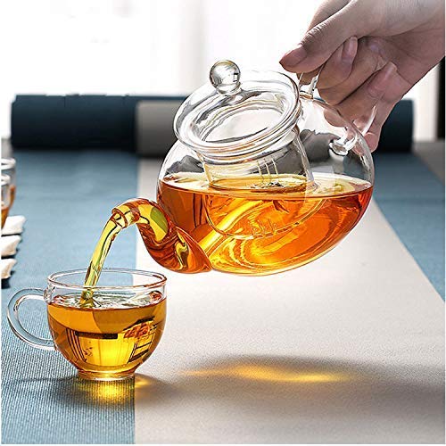 Cuisiland Elegant 800ml Removable Glass Filter Borosilicate Glass Teapot