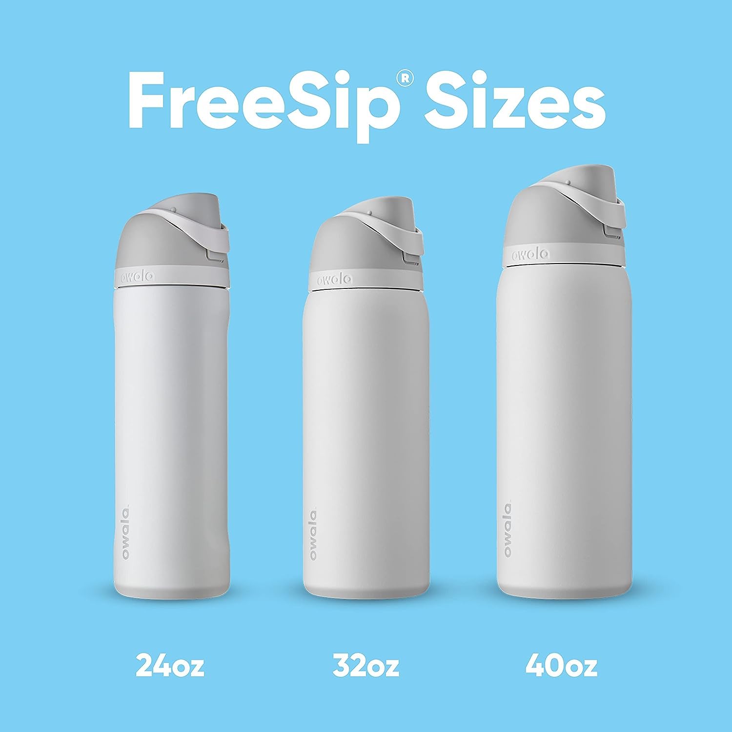 Owala FreeSip Insulated Stainless Steel Water Bottle with Straw for Sports and Travel, BPA-Free, 24-oz, Water in the Desert