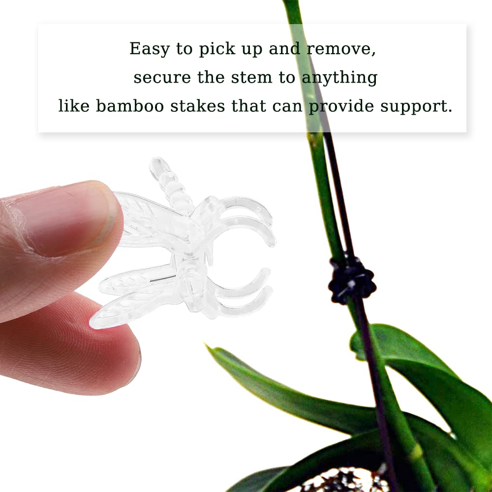 Watris Veiyi 100Pcs Plant Orchid Clips - Garden Plant Support, Dragonfly and Portable Cute Flower Vine Clips (Transparent)