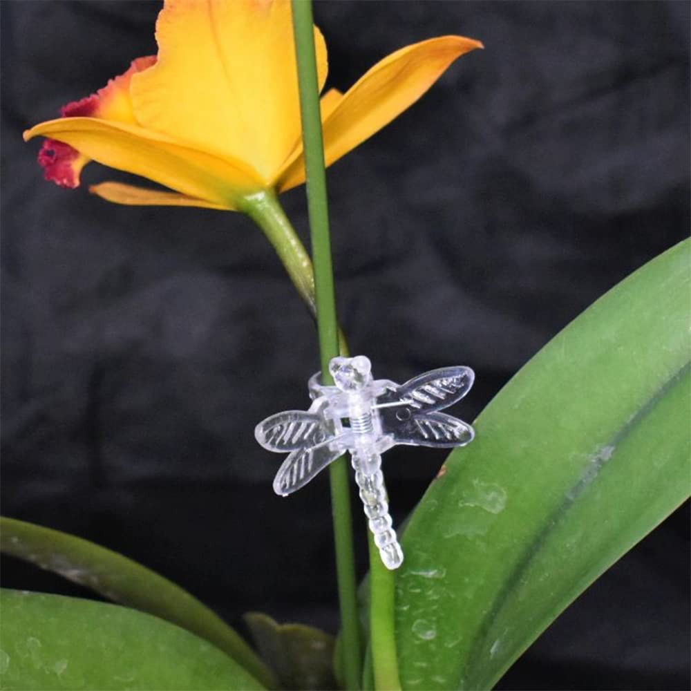 Watris Veiyi 100Pcs Plant Orchid Clips - Garden Plant Support, Dragonfly and Portable Cute Flower Vine Clips (Transparent)