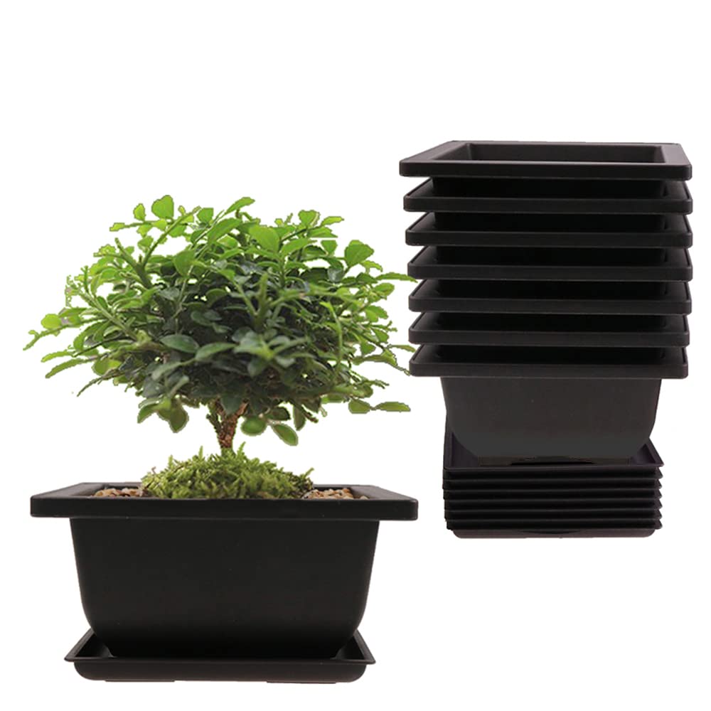 MUZHI 8PCS/Pack Retro Style Square Small Bonsai Training Pots with Tray, Mini Plastic Mocha Garden Flower Pot 4.7"