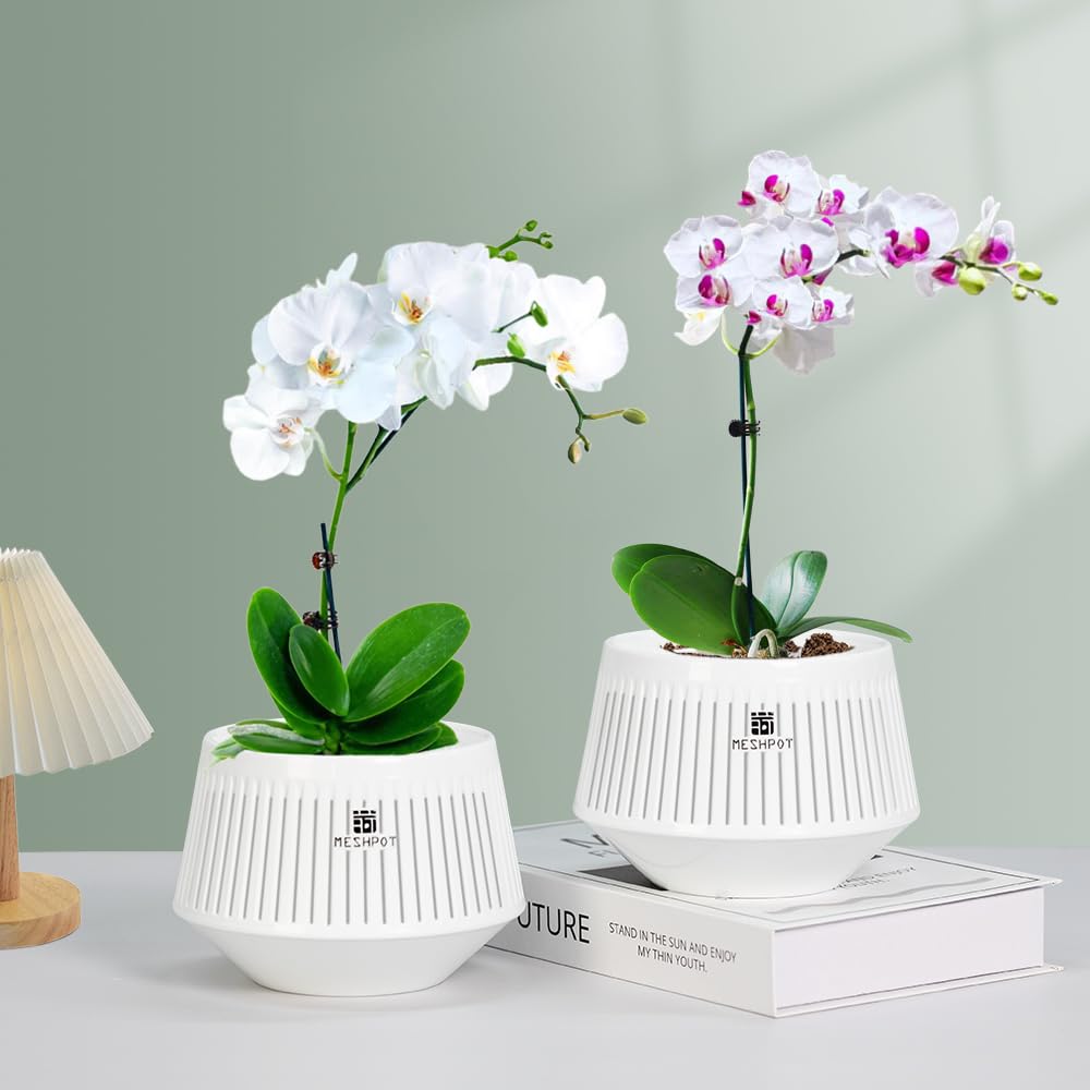 Meshpot 5 inch Orchid Pots with Holes for Repotting,Set of 1,Decorative Orchid Planter with Air-Pruning and Good Air Circulation,Plastic White Orchid Container with Saucers