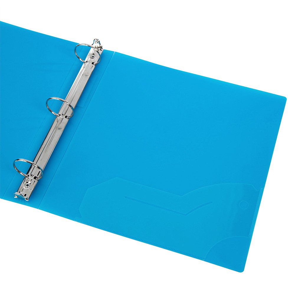 Filexec 6492, 1" Frosted Ring Binder, Set of 6, 6 Assorted Colors, Blueberry, Strawberry, Grape, Lime, Lemon, Tangerine