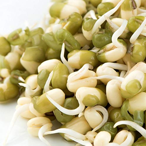 Mung Beans Sprouting Seeds | Féves Mung Graines à Germer | Organic & Non-GMO | Net Wt. 250 Grams (Approx. 3,700 Seeds) | High Germination Rate | Packaged in Canada