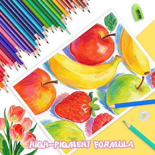 Ugmic 72 Coloring Pencils Set - Coloured Pencils for Adults Professional Colour Mixing Painting and Sketches, Soft Wax-Based Wooden Coloured Pencils Perfect for Students Children Colouring Books