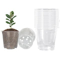 Clear Nursery Pots 50PCS 4" Plastic Plant Pot Transparent Flower Pots Seed Pot Starter Pot for Seedling Nursery Supplies Grow Pot Planter Flower Pot Container for Seedling Cultivation (Clear)