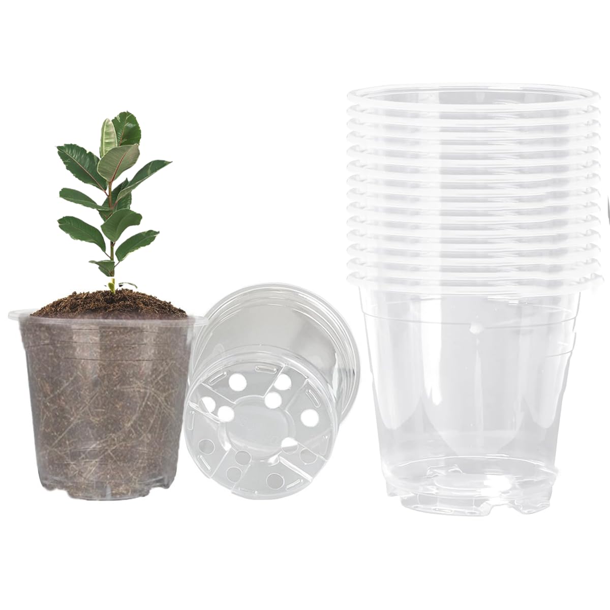 Clear Nursery Pots 50PCS 4" Plastic Plant Pot Transparent Flower Pots Seed Pot Starter Pot for Seedling Nursery Supplies Grow Pot Planter Flower Pot Container for Seedling Cultivation (Clear)