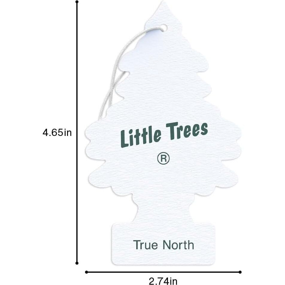 Little Trees Air Fresheners, True North (Pack of 12)