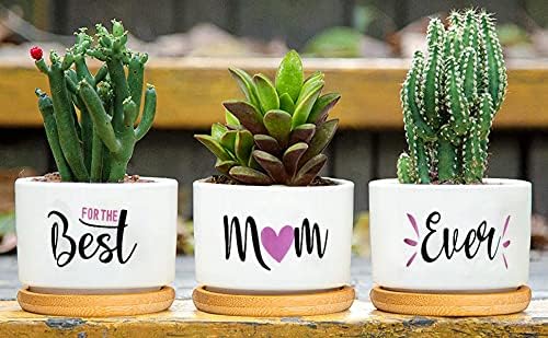Best Mom Ever Gifts, Best Gifts for Mum from Daughter Son Kids Unique, Best Mom Ever Succulent Pots for Plants Indoor Ceramic Planter, Gift Boxed Birthday