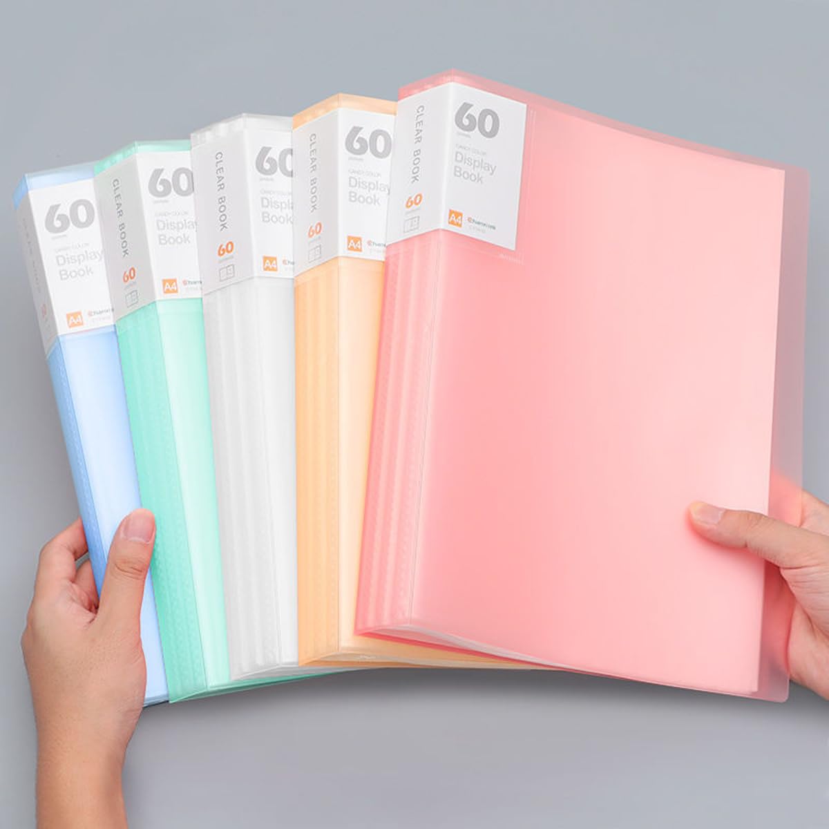 60 Pockets Display Book RUIFUNETEK Presentation Book with Clear Sheet Protectors A4 Binder with Plastic Sleeves 120 Pages Bound Sheet Protectors for Document Artwork and Photo (5 Color, 5 Pack)