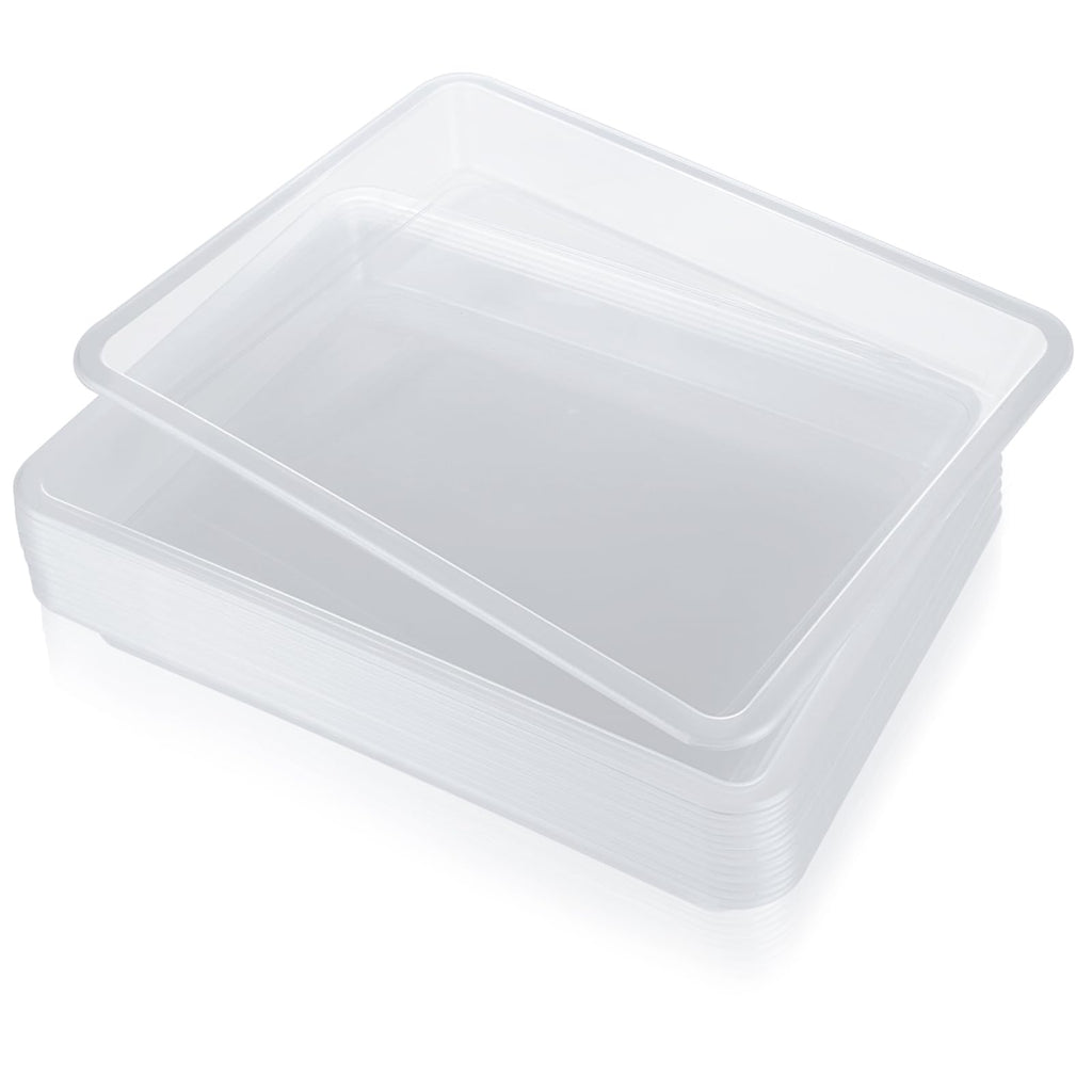 QTLCOHD 20Pcs Plastic Art Trays Clear Activity Crafts Tray Organizer Tray Serving Tray for Home,School,Kids,DIY Projects,Painting and Beads