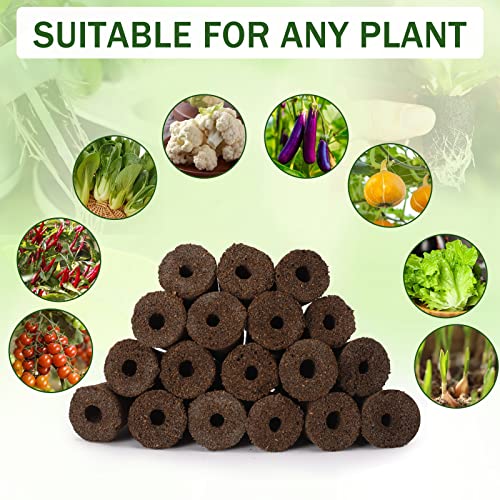 DECYOOL Garden Pods, 80pcs Hydroponic Pods Kit,Grow Anything Kit with 20 Grow Baskets,20 Grow Sponges, 20 Pod Labels,20 Grow Domes