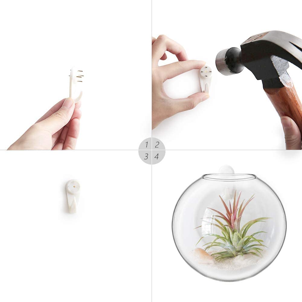 Mkono 2 Pack Glass Wall Hanging Planter Wall Mounted Plant Vase Indoor Air Plants Terrariums for Home Office Living Room Decor Oblate