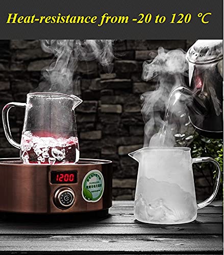 Mini Size Glass Teapot Tea Kettle-with Stainless Steel Removable Infuser for Blooming Tea & Loose Leaf Tea, Microwave & Stovetop Safe (550)