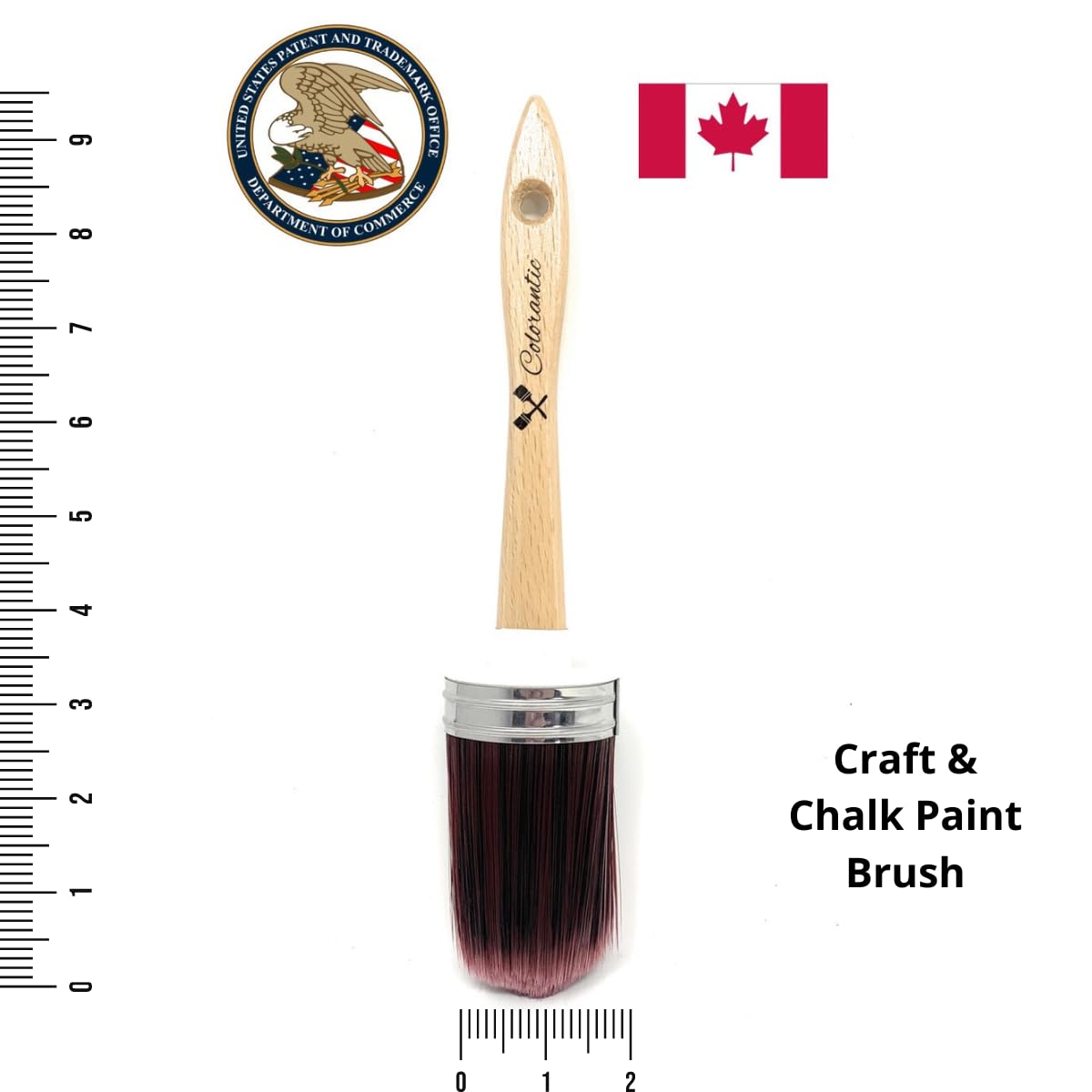 Colorantic | Oval Chalk Paint Brush for Milk Paint | Synthetic Round Purple Paint Brush for Furniture Painting | Best Soft DIY Chalky Blending Brush DIY - 2 Inch (no10)