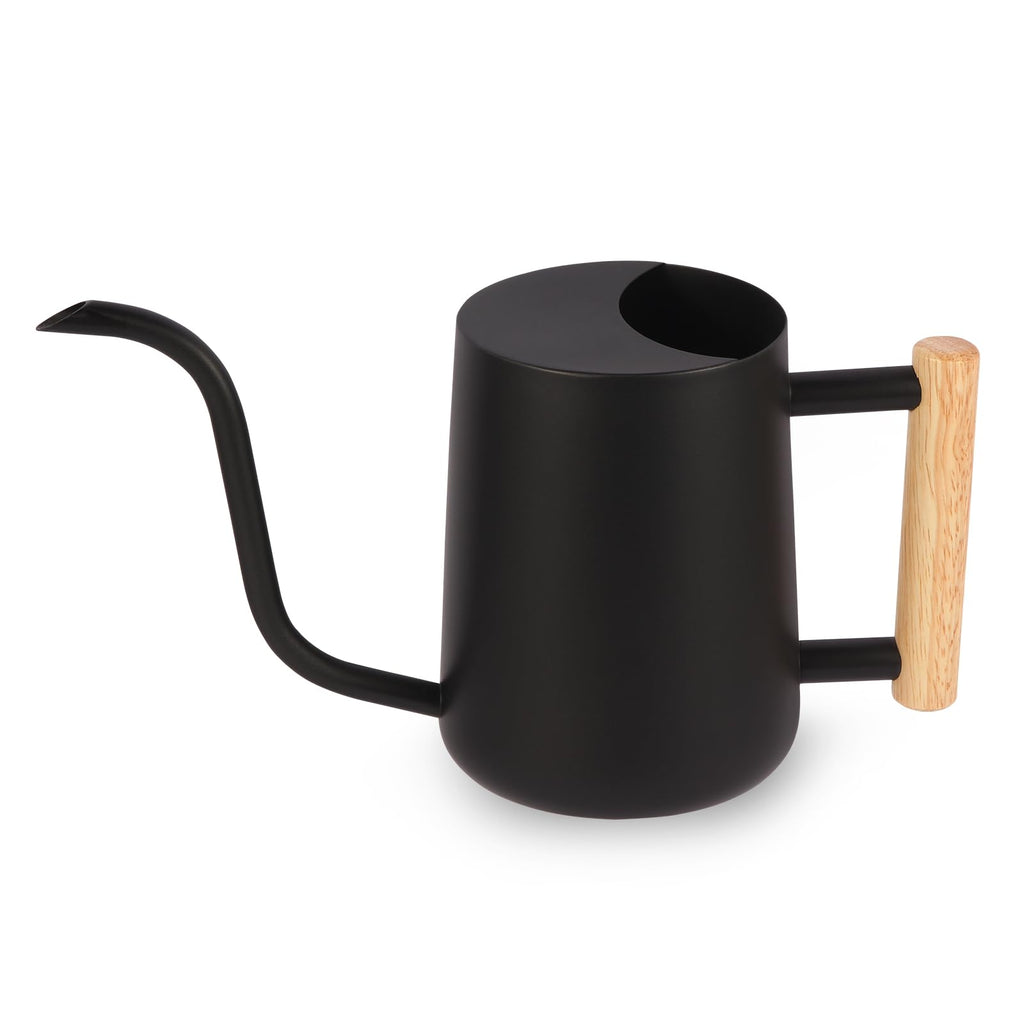 Watering Can Indoor Plants, 35oz Small Watering Can Stainless Steel Metal Modern Decorative Watering Pot with Long Spout for Indoor House Plant Bonsai Garden Flowers - Black