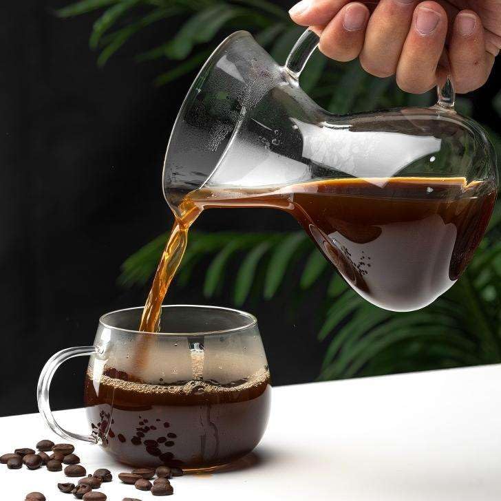 Pour Over Coffee Maker 2 Cup 16oz Borosilicate Glass Carafe with Stainless Steel Reusable Filter, Manual Drip Brewer, Paperless Coffee Pot for Home Kitchen Cafe