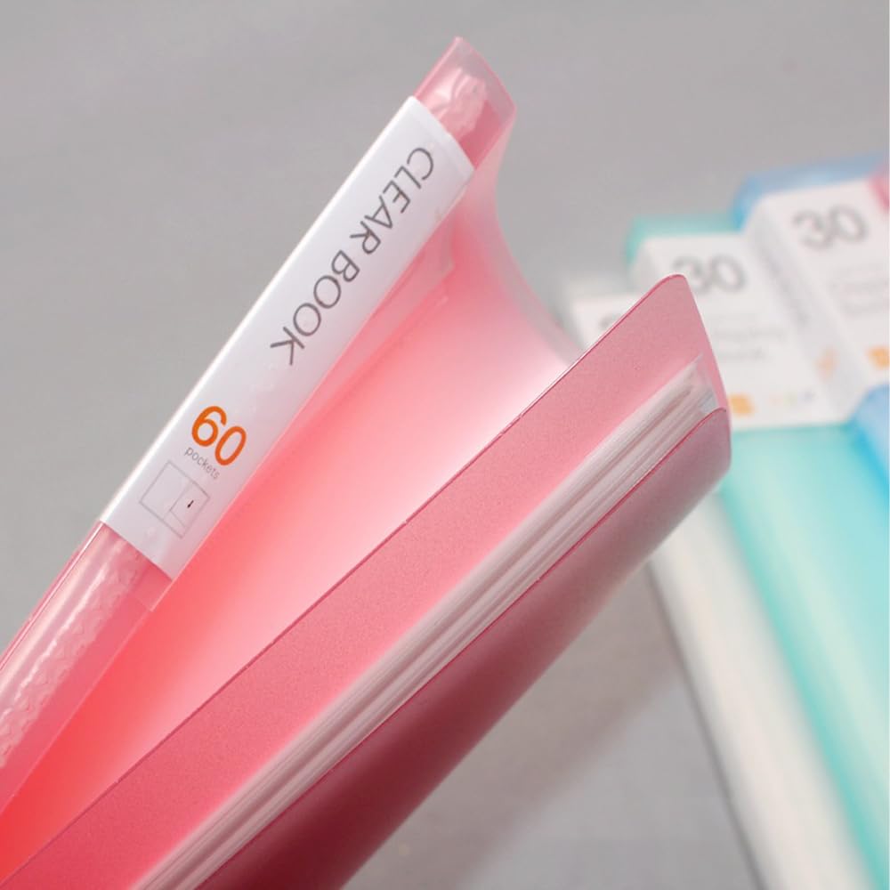 60 Pockets Display Book RUIFUNETEK Presentation Book with Clear Sheet Protectors A4 Binder with Plastic Sleeves 120 Pages Bound Sheet Protectors for Document Artwork and Photo (5 Color, 5 Pack)