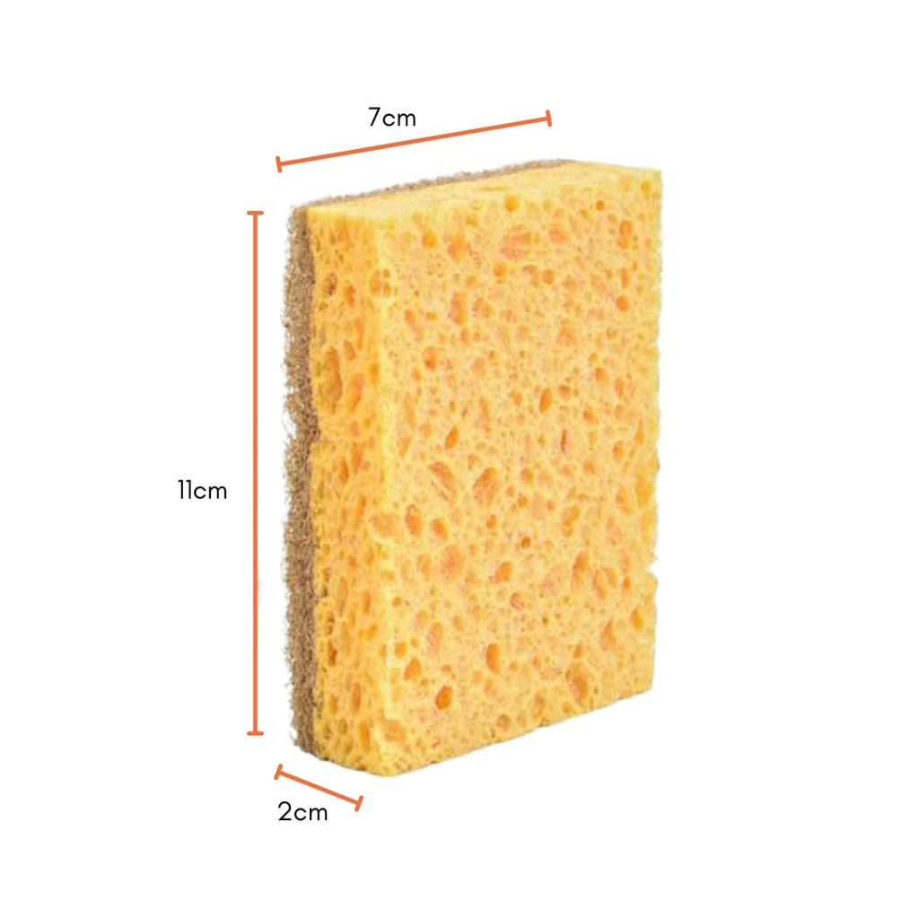 Hot Homey Non-Scratch Plant Based Scrub Sponge - Coconut Fiber and Biodegradable Sponges - Perfect Compostable Scrub Pads for Dishes and Bathroom