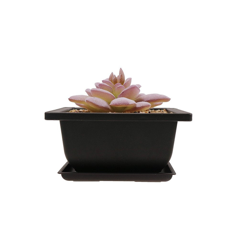 MUZHI 8PCS/Pack Retro Style Square Small Bonsai Training Pots with Tray, Mini Plastic Mocha Garden Flower Pot 4.7"