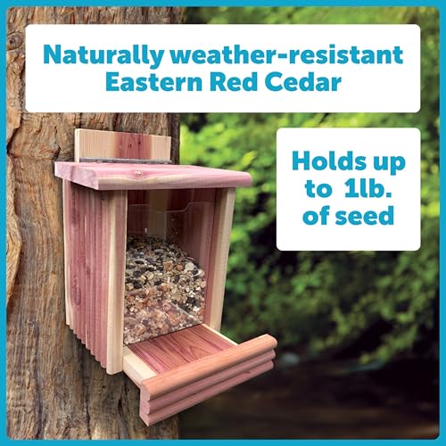 Pennington Cedar Squirrel Snacker Feeder Amish Made in The USA