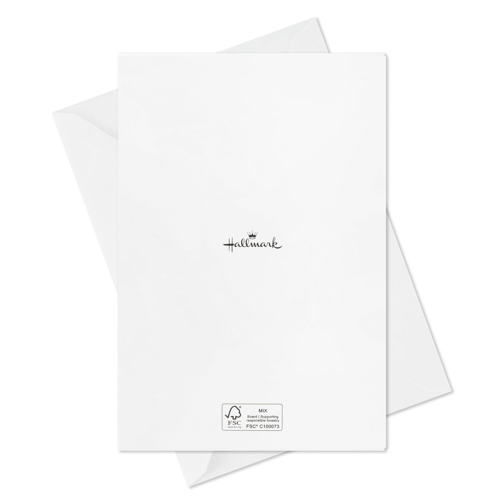 Hallmark Birthday Card Assortment (20 Cards with Envelopes, Refill Pack for Hallmark Card Organizer Box)