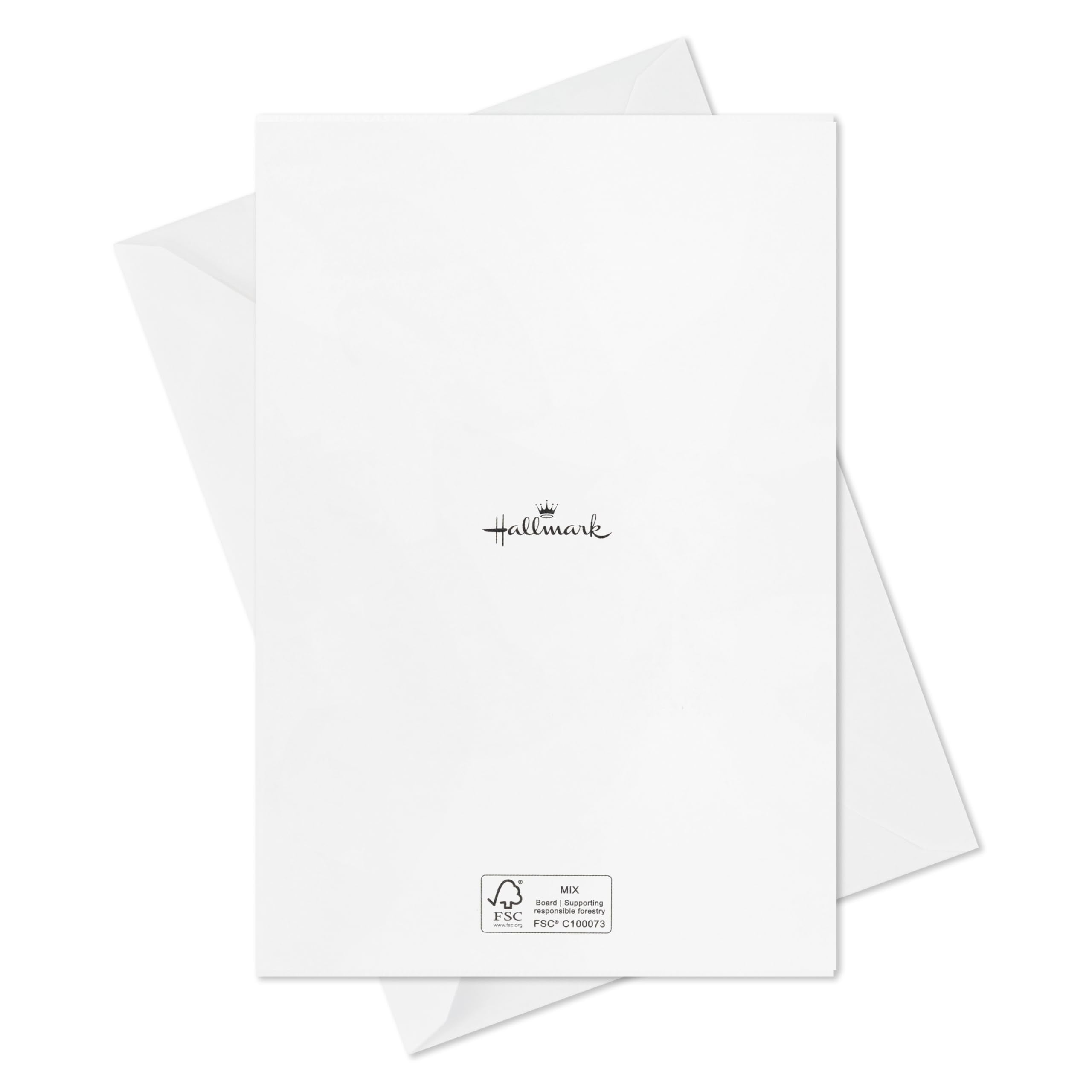 Hallmark Birthday Card Assortment (20 Cards with Envelopes, Refill Pack for Hallmark Card Organizer Box)