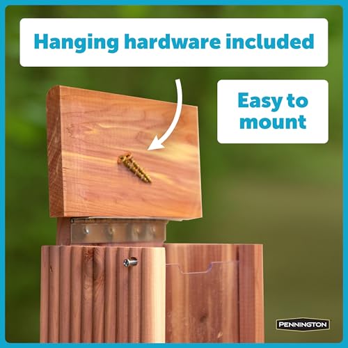 Pennington Cedar Squirrel Snacker Feeder Amish Made in The USA