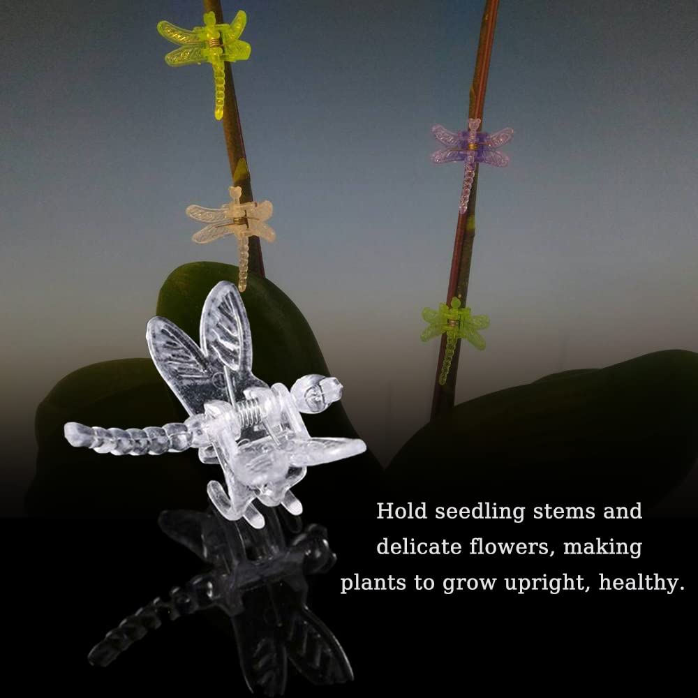 Watris Veiyi 100Pcs Plant Orchid Clips - Garden Plant Support, Dragonfly and Portable Cute Flower Vine Clips (Transparent)