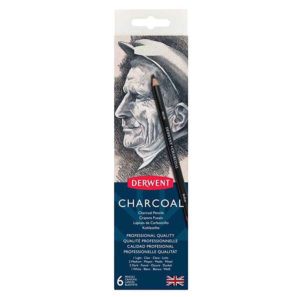 Derwent Charcoal Pencils, Metal Tin, 6 Count (0700838), Black/White