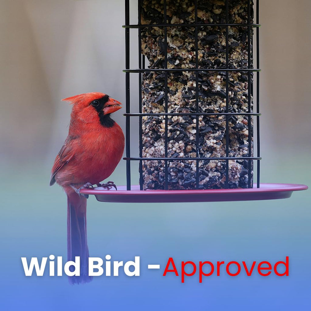 Cardinal Bird Food – Chirp & Maple Dazzle, No Mess Premium Bird Seed for Northern Cardinals, Blue Jays & Grosbeaks, Fruit & Nut Blend with Safflower & Peanuts, 750g